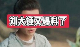 刘大锤爆料视频大全最新,揭秘娱乐圈幕后真相