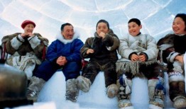 北极移民在线观看,在线探索极地新家园的奇幻旅程